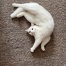Mochi